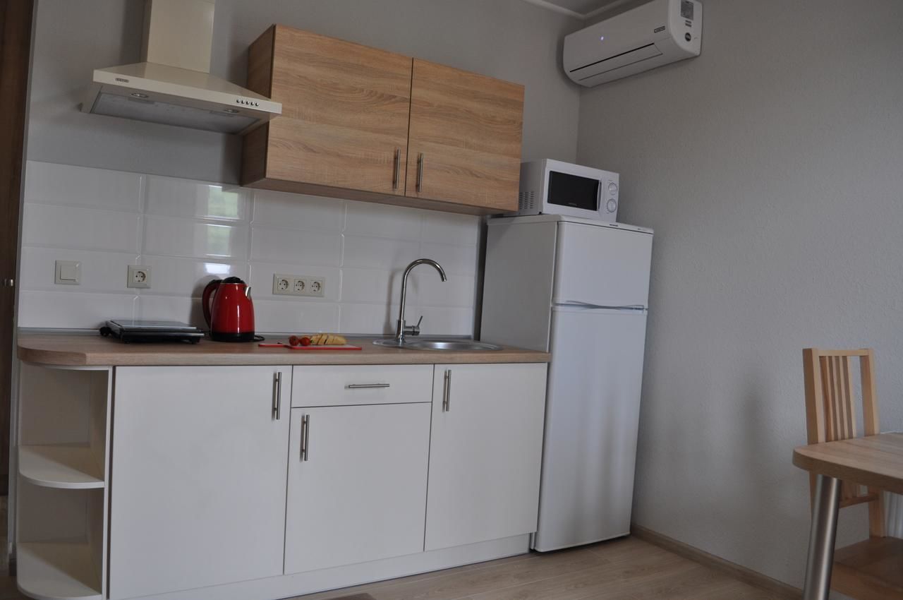 Апартаменты Apartments on Leva st. Берегово-16