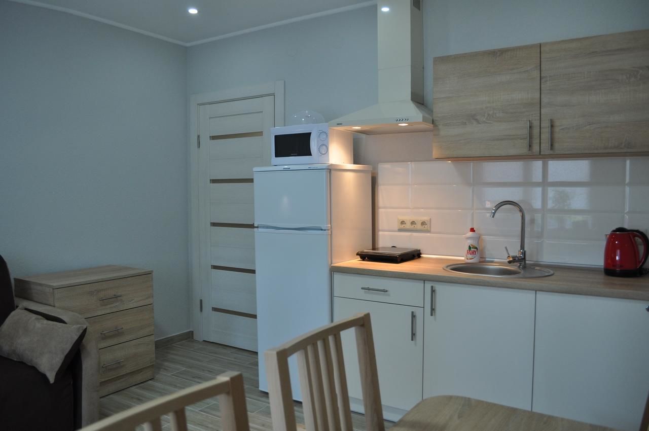 Апартаменты Apartments on Leva st. Берегово-8