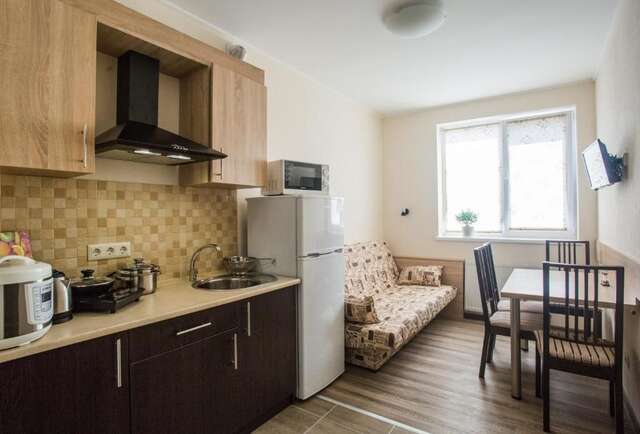 Апартаменты Apartments on Leva st. Берегово-49